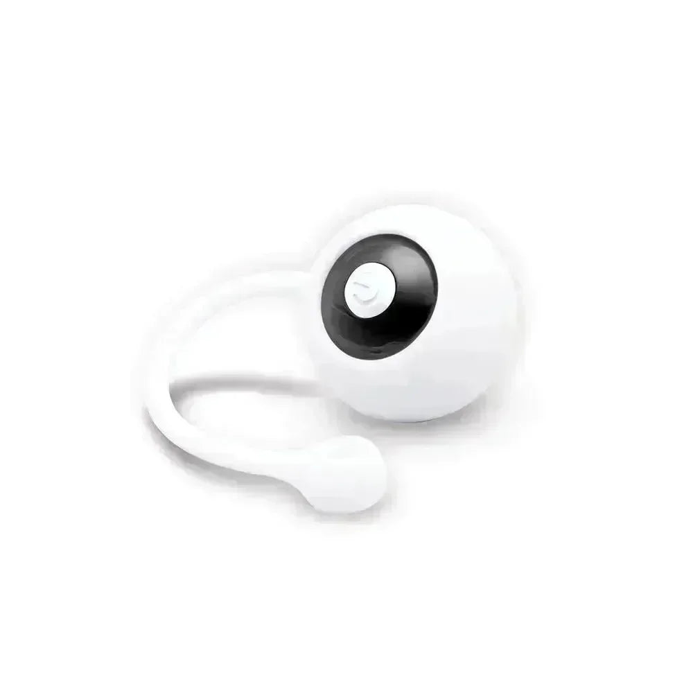Bodywand Squeeze Pelvic Floor Trainer Set - USB Rechargeable Weighted Vibrating Kegel Set - Take A Peek