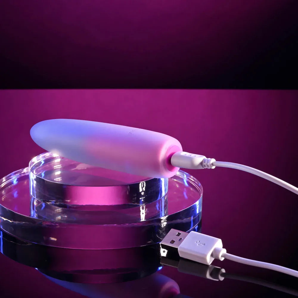 Evolved PARADISE BULLET - Pink/Purple 10.2 cm USB Rechargeable Bullet - Take A Peek