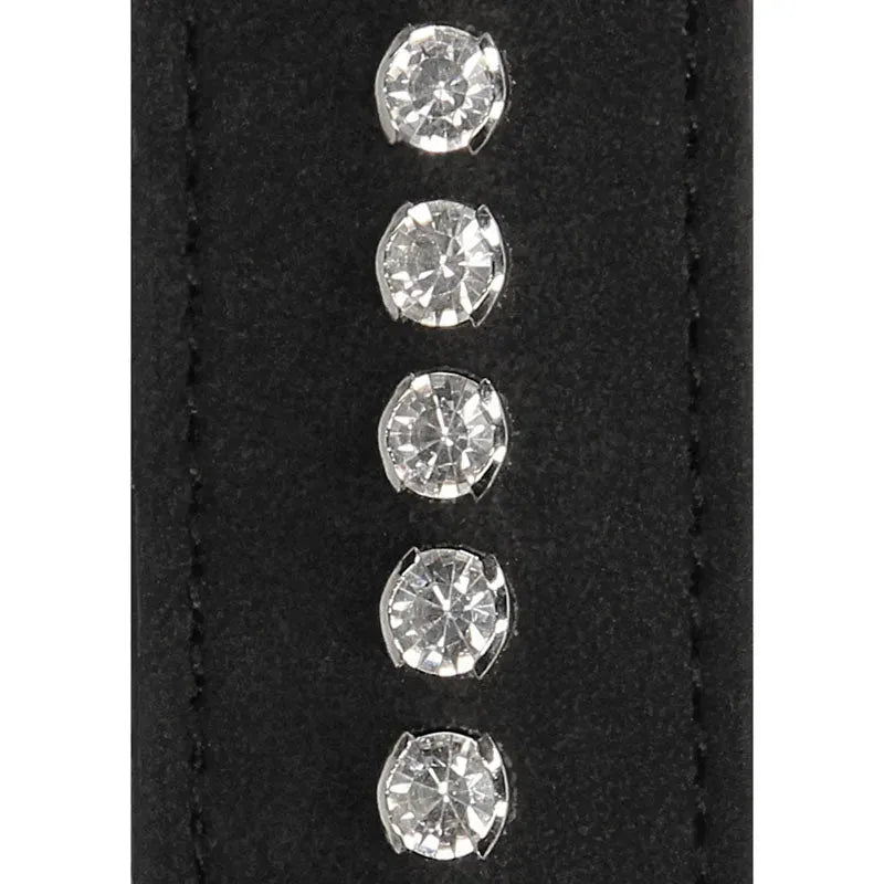 OUCH! Diamond Studded Whip - Take A Peek