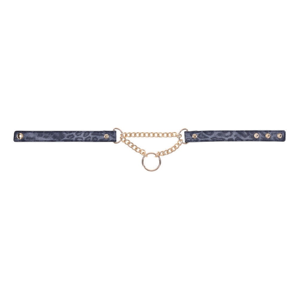 Sex & Mischief Cougar Day Collar - Navy /Gold Collar - Take A Peek