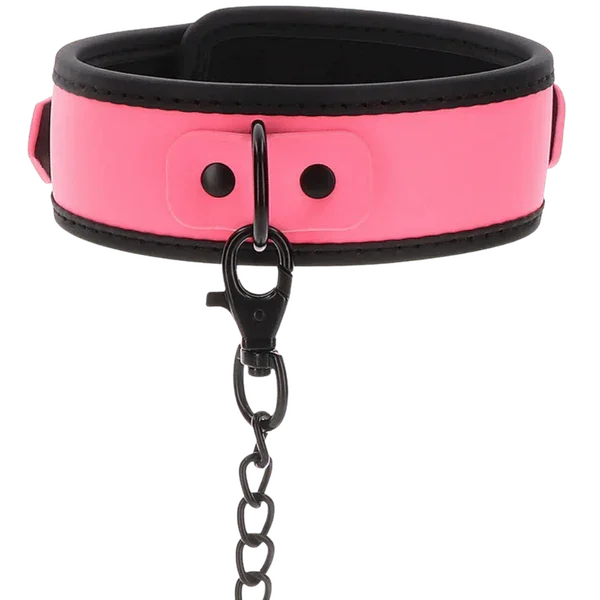 Glow Collar and Chain Leash (Pink) - Take A Peek