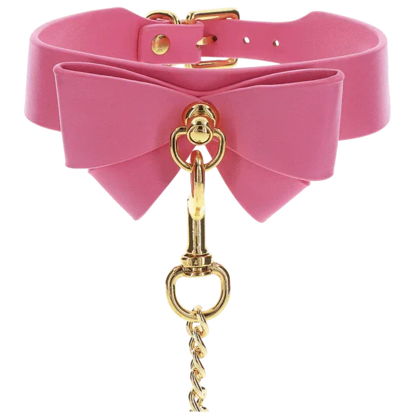 Collar and Leash (Pink) - Take A Peek