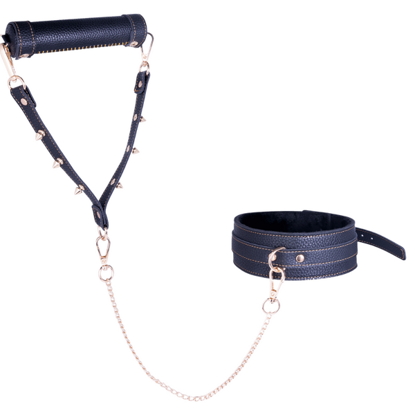Collar & Leash (Black)-FNS017A000-010