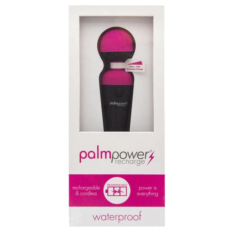 PalmPower Massage Wand Recharge Waterproof - Take A Peek