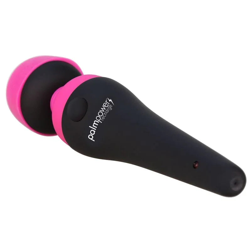 PalmPower Massage Wand Recharge Waterproof - Take A Peek