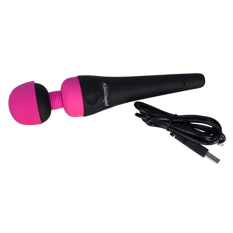 PalmPower Massage Wand Recharge Waterproof - Take A Peek