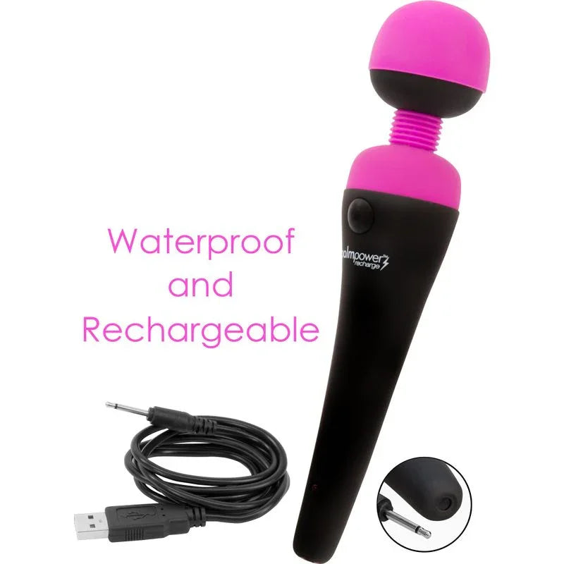 PalmPower Massage Wand Recharge Waterproof - Take A Peek