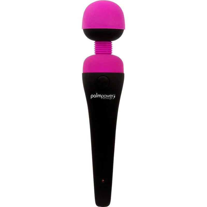 PalmPower Massage Wand Recharge Waterproof - Take A Peek