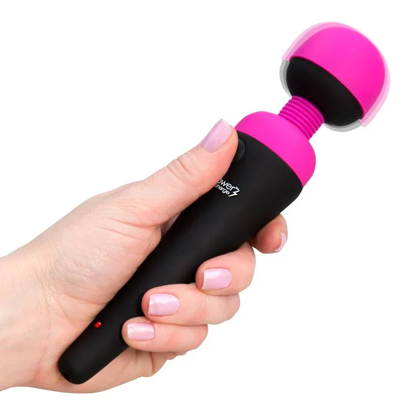 PalmPower Massage Wand Recharge Waterproof - Take A Peek