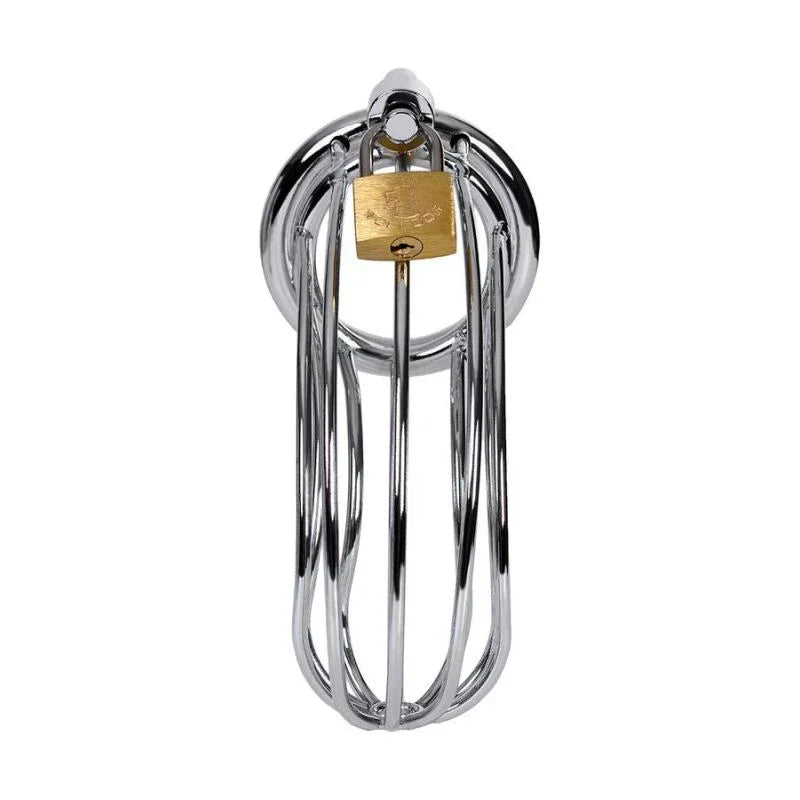 Silver Metal Birdcage Cock Cage - Take A Peek