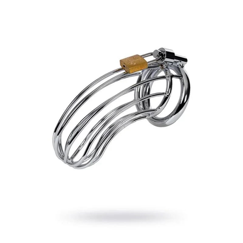 Silver Metal Birdcage Cock Cage - Take A Peek