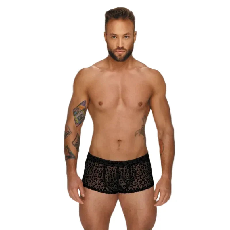 Leopard Flock Short Shorts