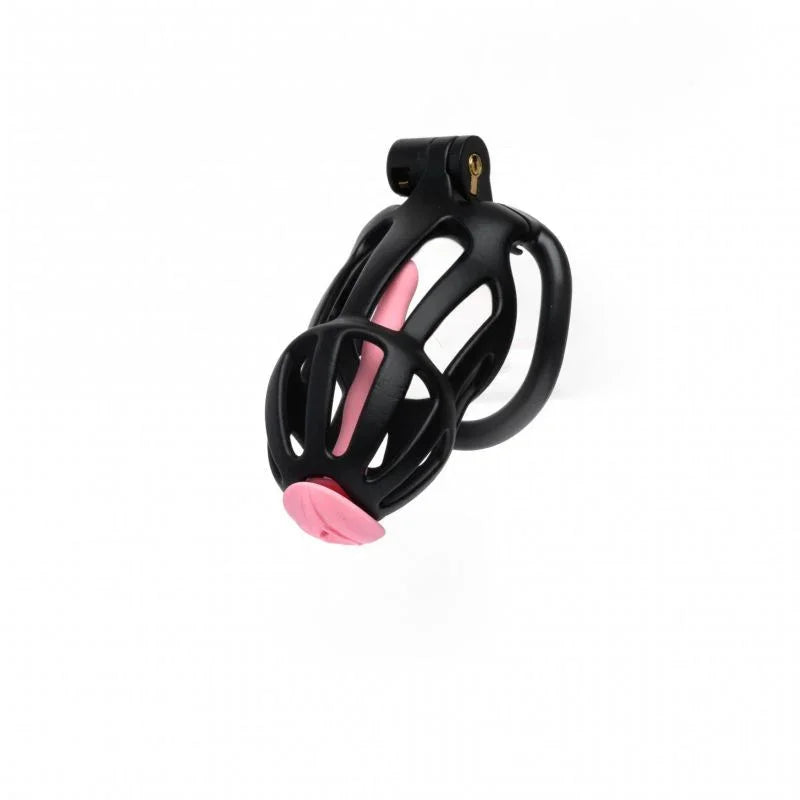 Centurion Size 2 Cock Cage with Pussification Plug - Take A Peek
