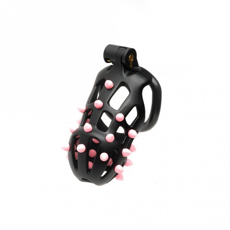 FlexiSpike Size 2 Spiked Cock Cage - Take A Peek