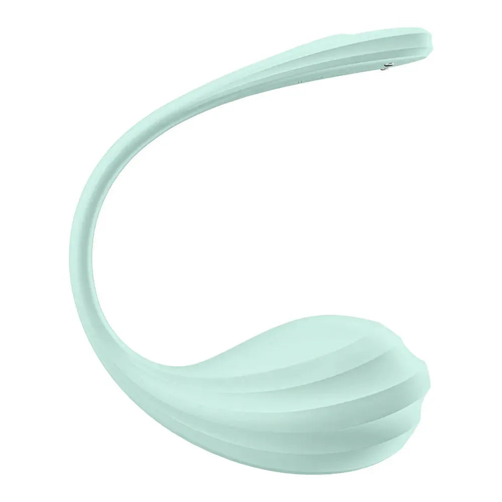 Satisfyer Smooth Petal - Mint - Take A Peek