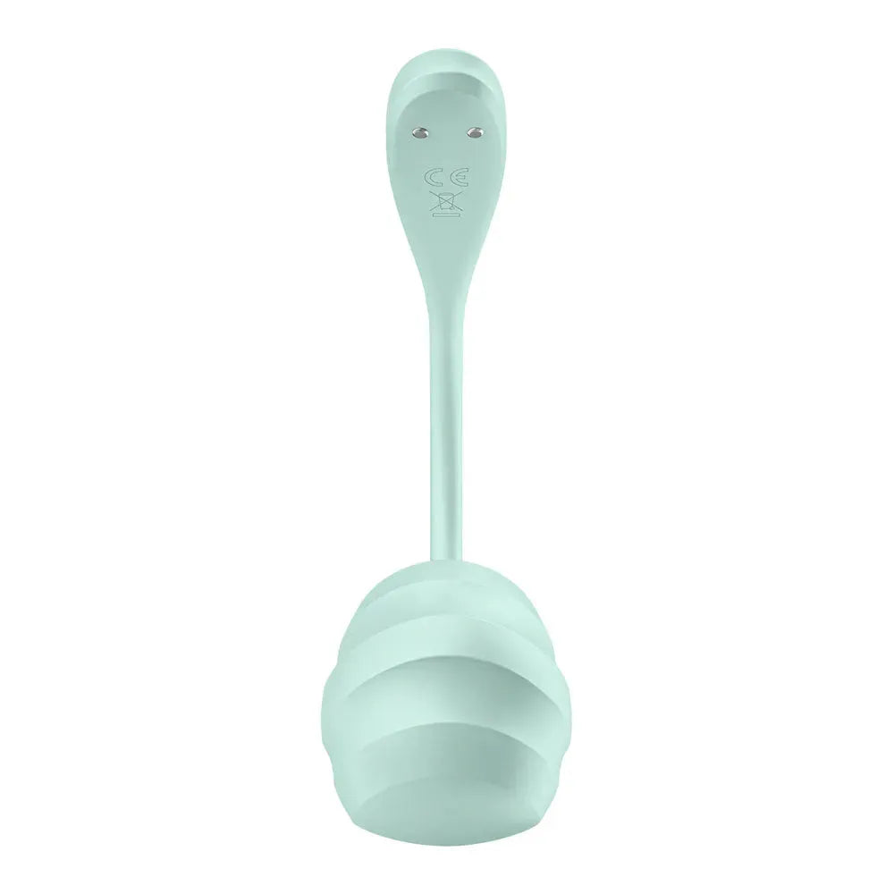 Satisfyer Smooth Petal - Mint - Take A Peek