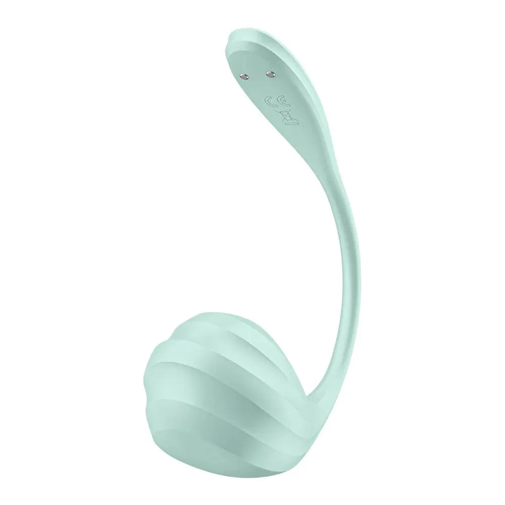 Satisfyer Smooth Petal - Mint - Take A Peek