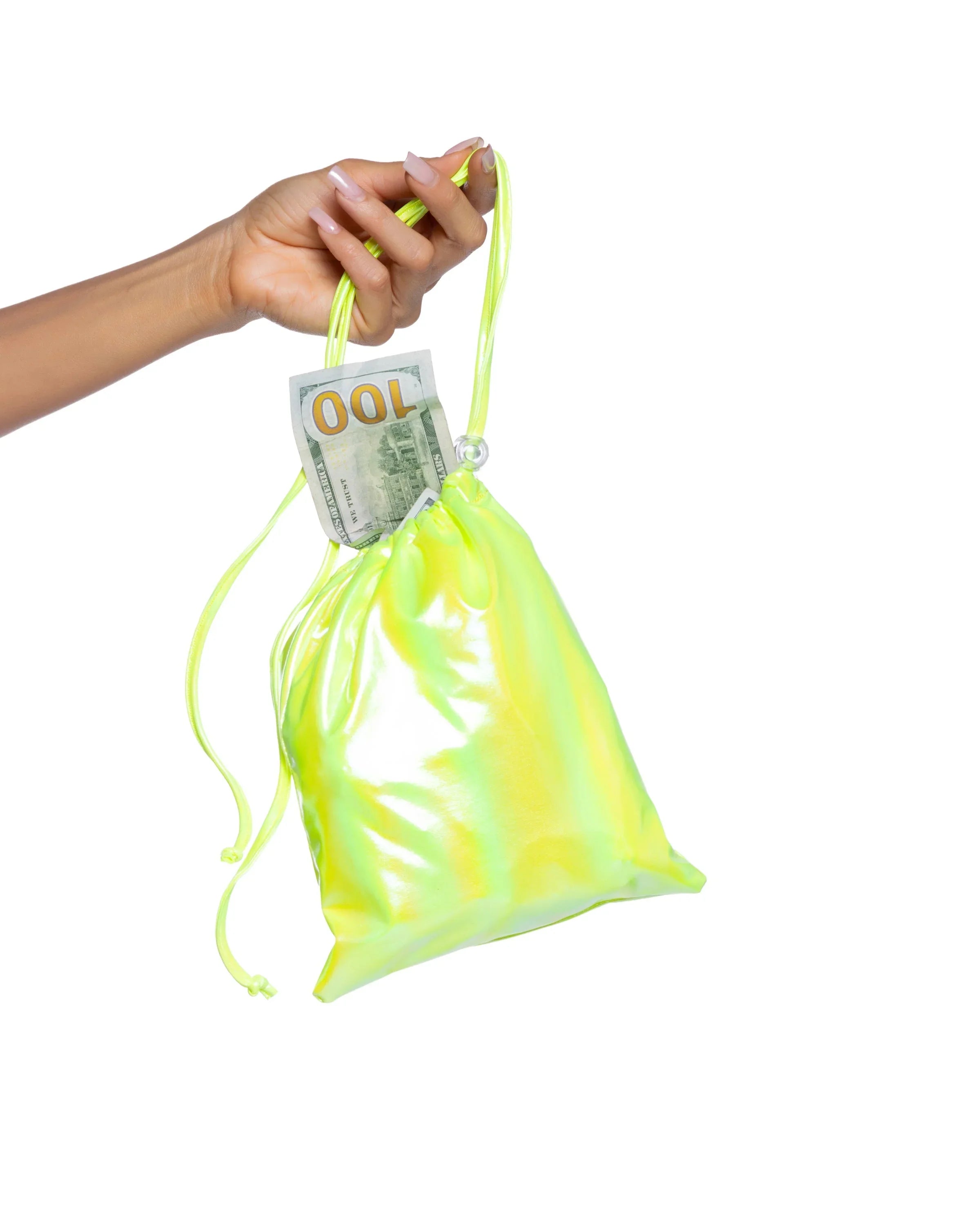 6729 - Metallic Iridescent Money Bag - Take A Peek