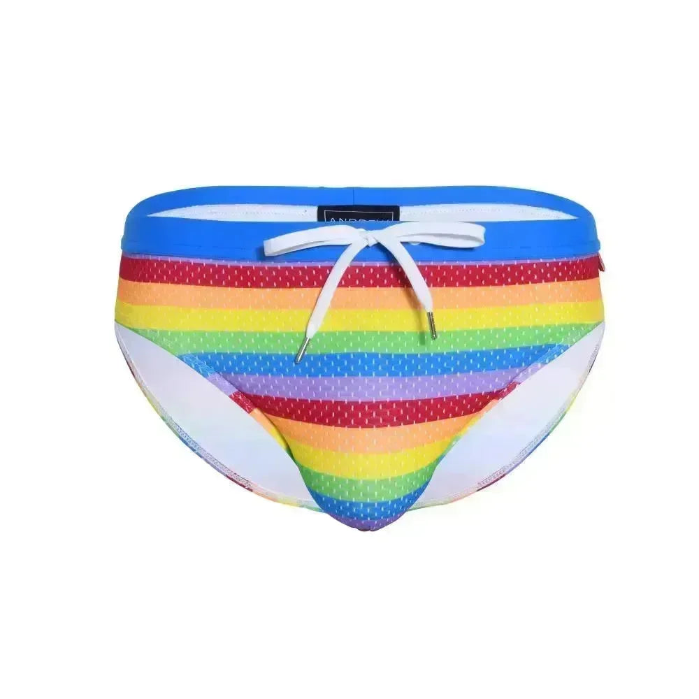 7921, Pride Mesh Bikini, Multi - Take A Peek