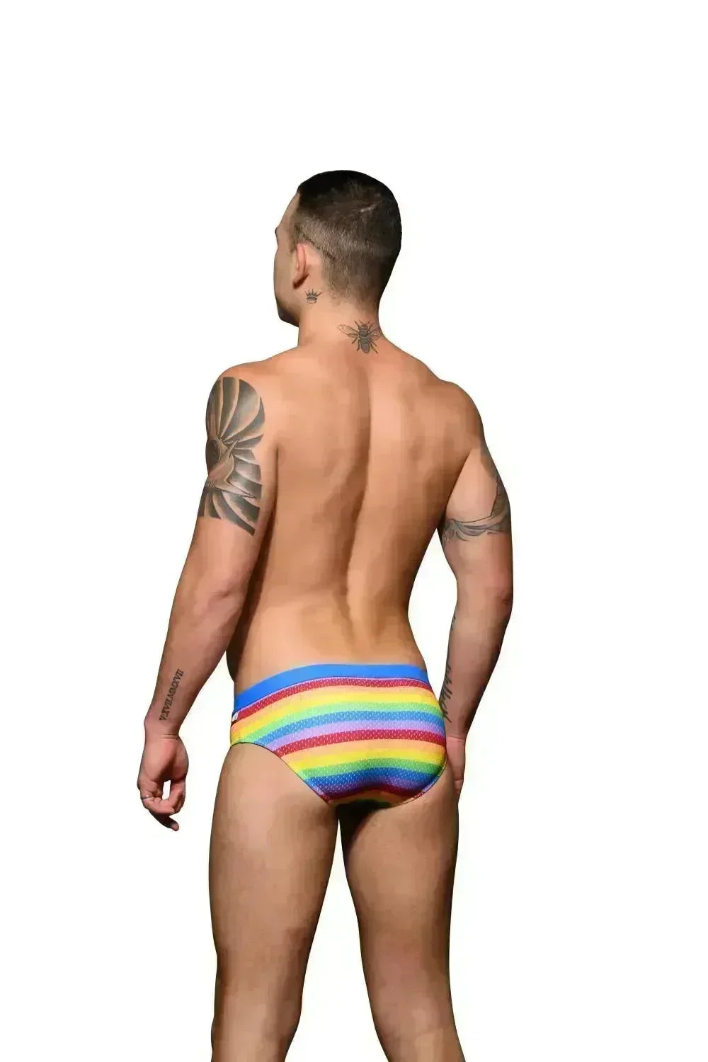 7921, Pride Mesh Bikini, Multi - Take A Peek