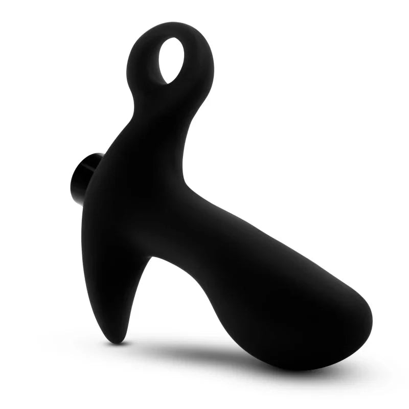 Anal Adventures Platinum Vibrating Prostate Massager 01 - 10.8 cm USB Rechargeable Prostate Massager - Take A Peek