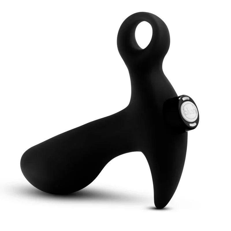 Anal Adventures Platinum Vibrating Prostate Massager 01 - 10.8 cm USB Rechargeable Prostate Massager - Take A Peek