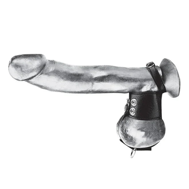 Blue Line Cock Ring With 1.5" Ball Stretcher And Optional Weight Ring - Take A Peek