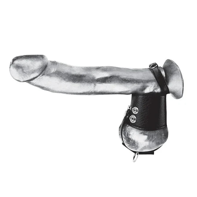 Blue Line COCK RING WITH 2" BALL STRETCHER AND OPTIONAL WEIGHT RING - Take A Peek