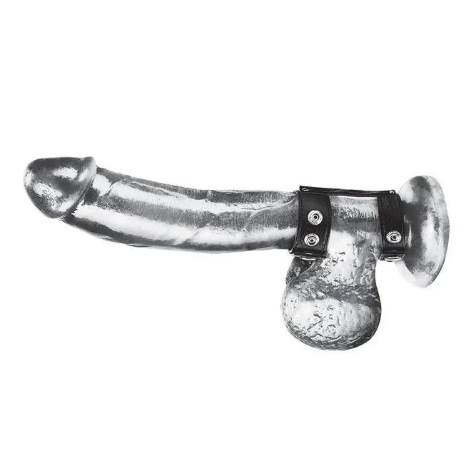 Blue Line Duo Snap Cock And Ball Ring - Take A Peek