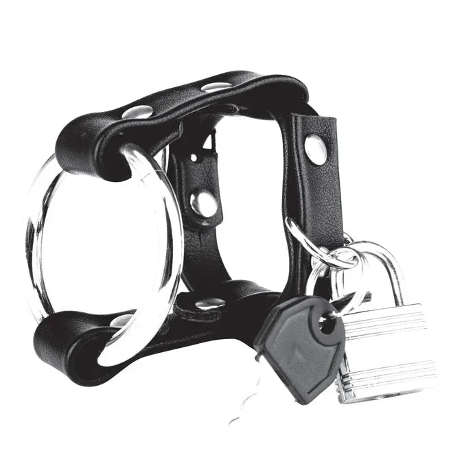 Blue Line Metal Cock Ring With Locking Ball Strap - Take A Peek