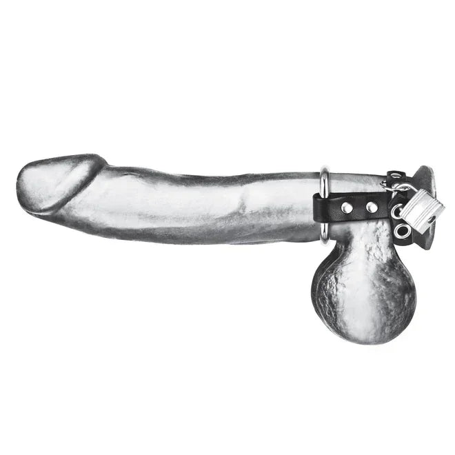 Blue Line Metal Cock Ring With Locking Ball Strap - Take A Peek