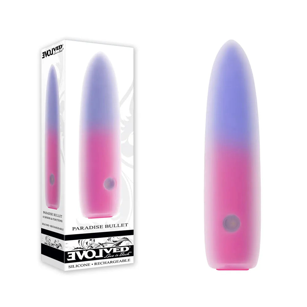 Evolved PARADISE BULLET - Pink/Purple 10.2 cm USB Rechargeable Bullet - Take A Peek
