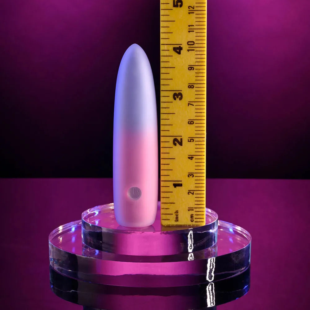 Evolved PARADISE BULLET - Pink/Purple 10.2 cm USB Rechargeable Bullet - Take A Peek