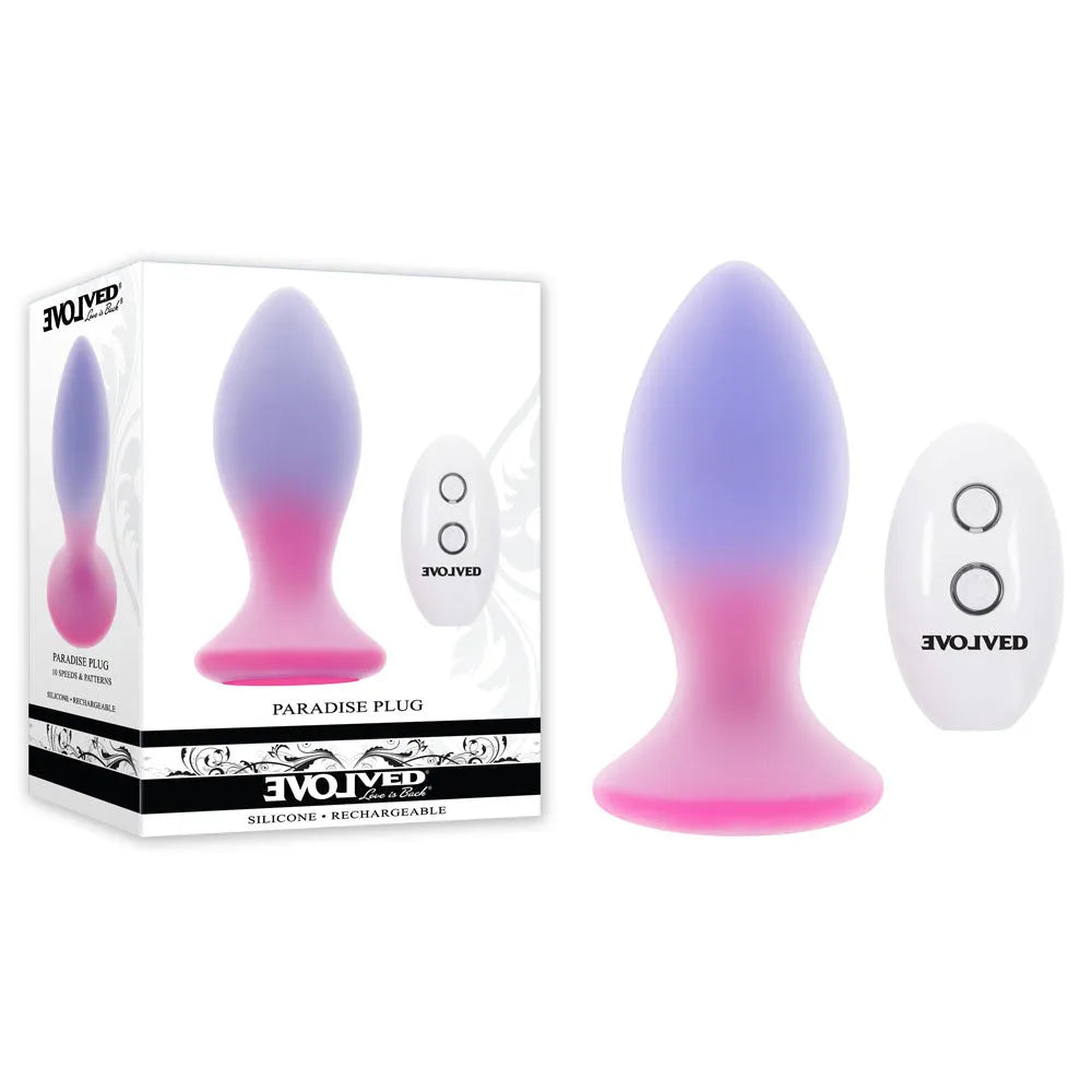 Evolved PARADISE PLUG - Pink/Purple 10.5 cm USB Rechargeable Vibrating Butt Plug with Wireless Remote - Take A Peek