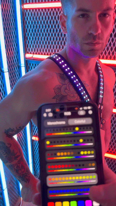 SOUNDWAVE CROSS HARNESS - Take A Peek