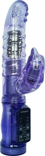Seagull Rabbit Purple - Take A Peek