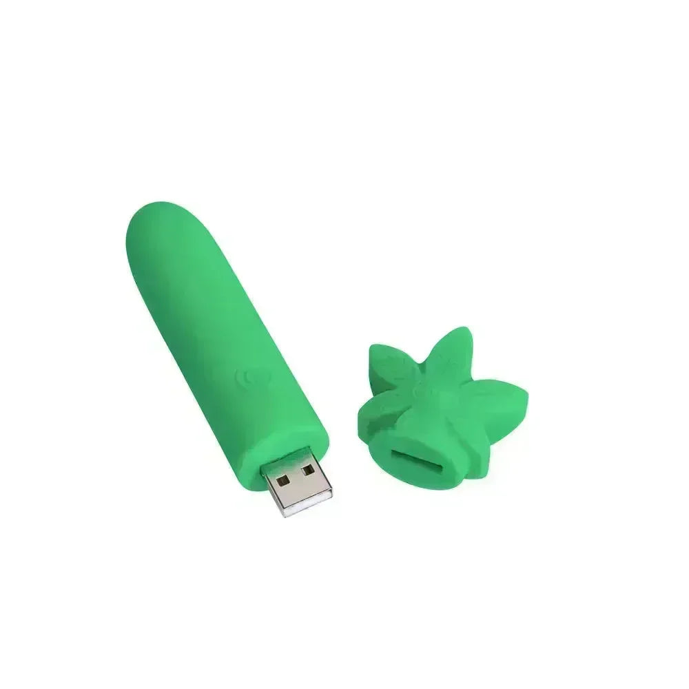 Maia STONI - 420 11.1 cm USB Rechargeable Bullet - Take A Peek