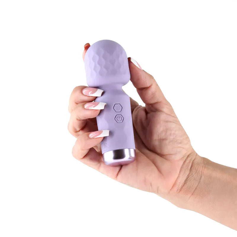 Lust-n-Dreams - Salsa - Lavender - Lavender 11.5 cm USB Rechargeable Mini Massage Wand - Take A Peek