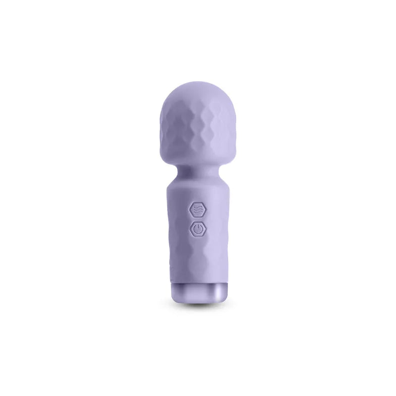 Lust-n-Dreams - Salsa - Lavender - Lavender 11.5 cm USB Rechargeable Mini Massage Wand - Take A Peek