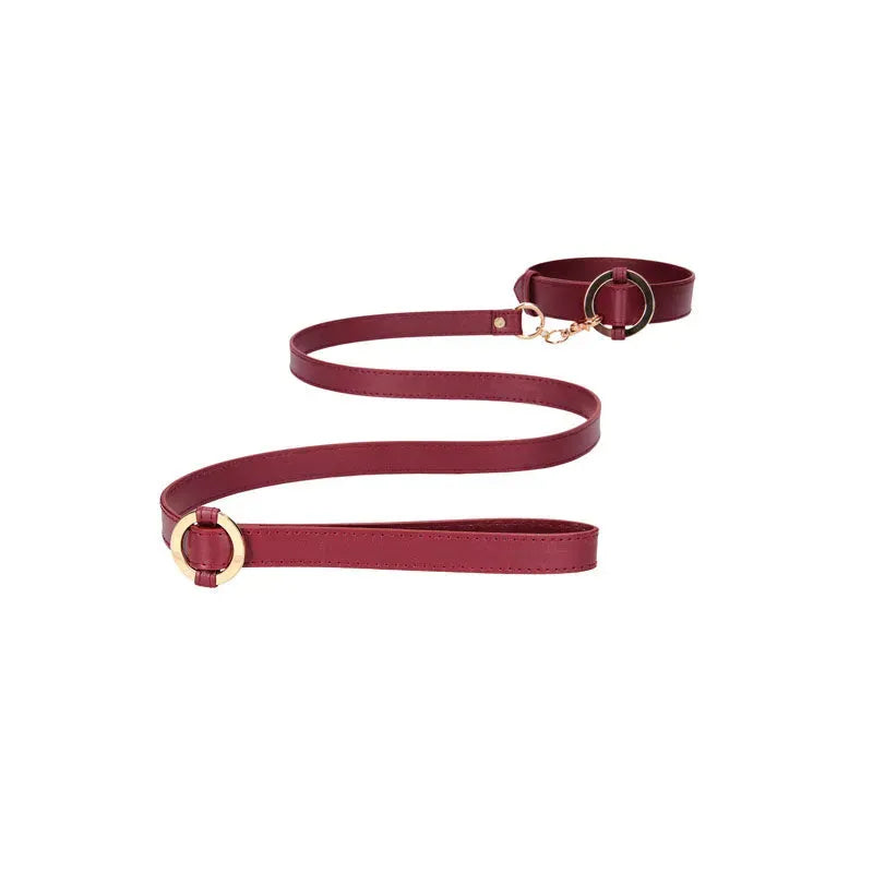 OUCH! Halo - Collar With Leash - Take A Peek