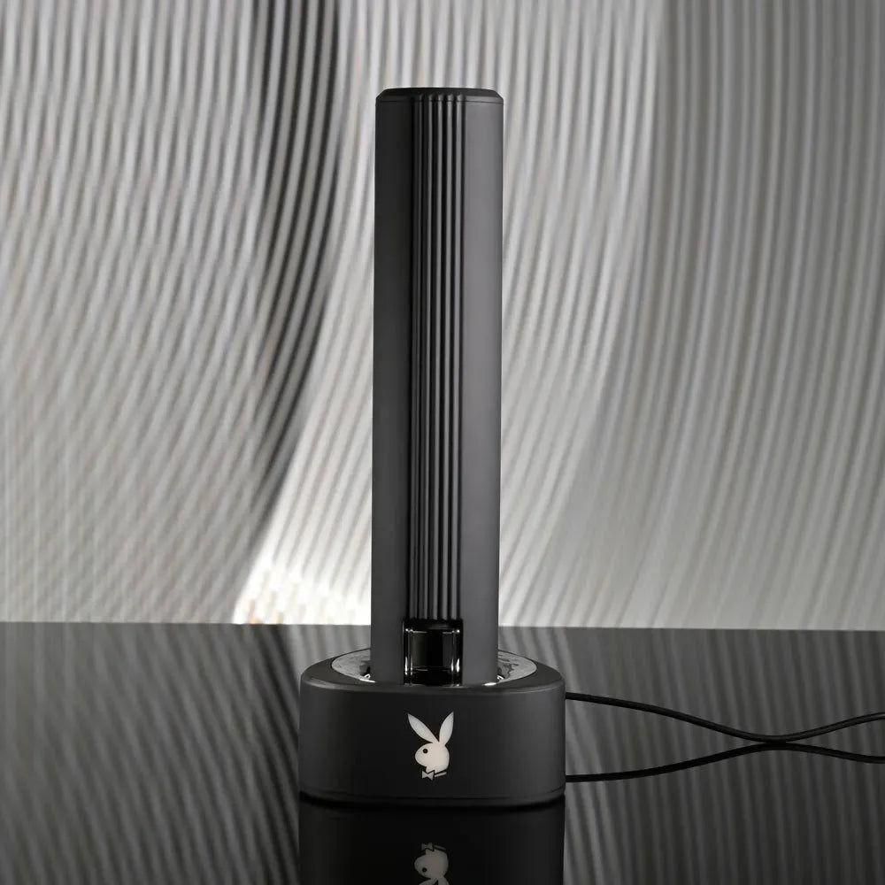 Playboy Pleasure PLEASURE ZONE - 21.4 cm Rechargeable Vibrator with USB Charging Dock - Take A Peek