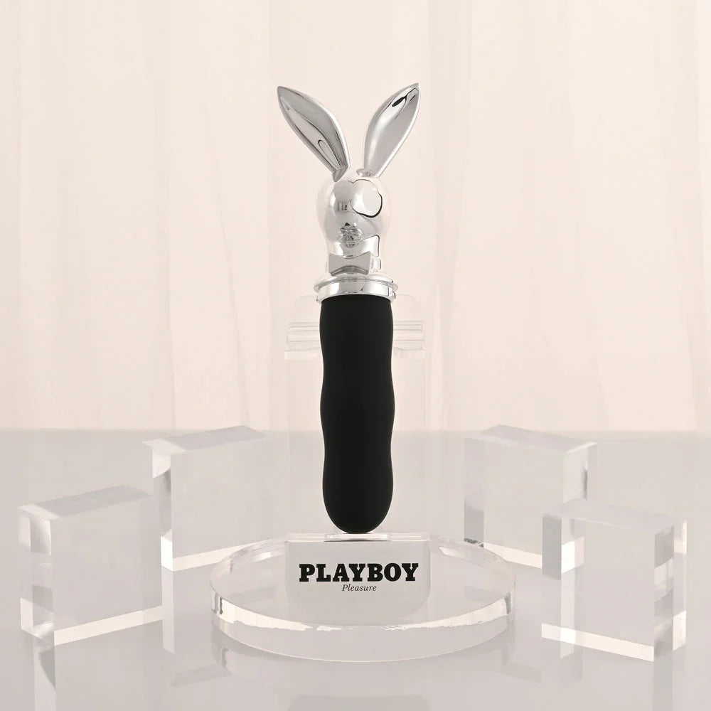 Playboy Pleasure BUNNY ON THE GO - /Chrome 18.6 cm USB-C Rechargeable Vibrator - Take A Peek