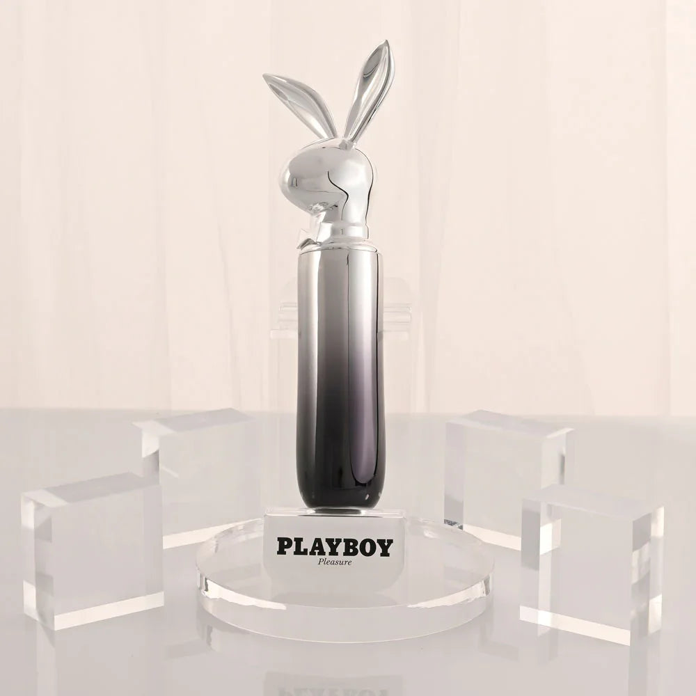Playboy Pleasure BUNNY ON THE GO - /Chrome 18.6 cm USB-C Rechargeable Vibrator - Take A Peek