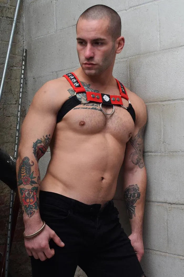 Poundtown Bulldog Harness RED - Take A Peek