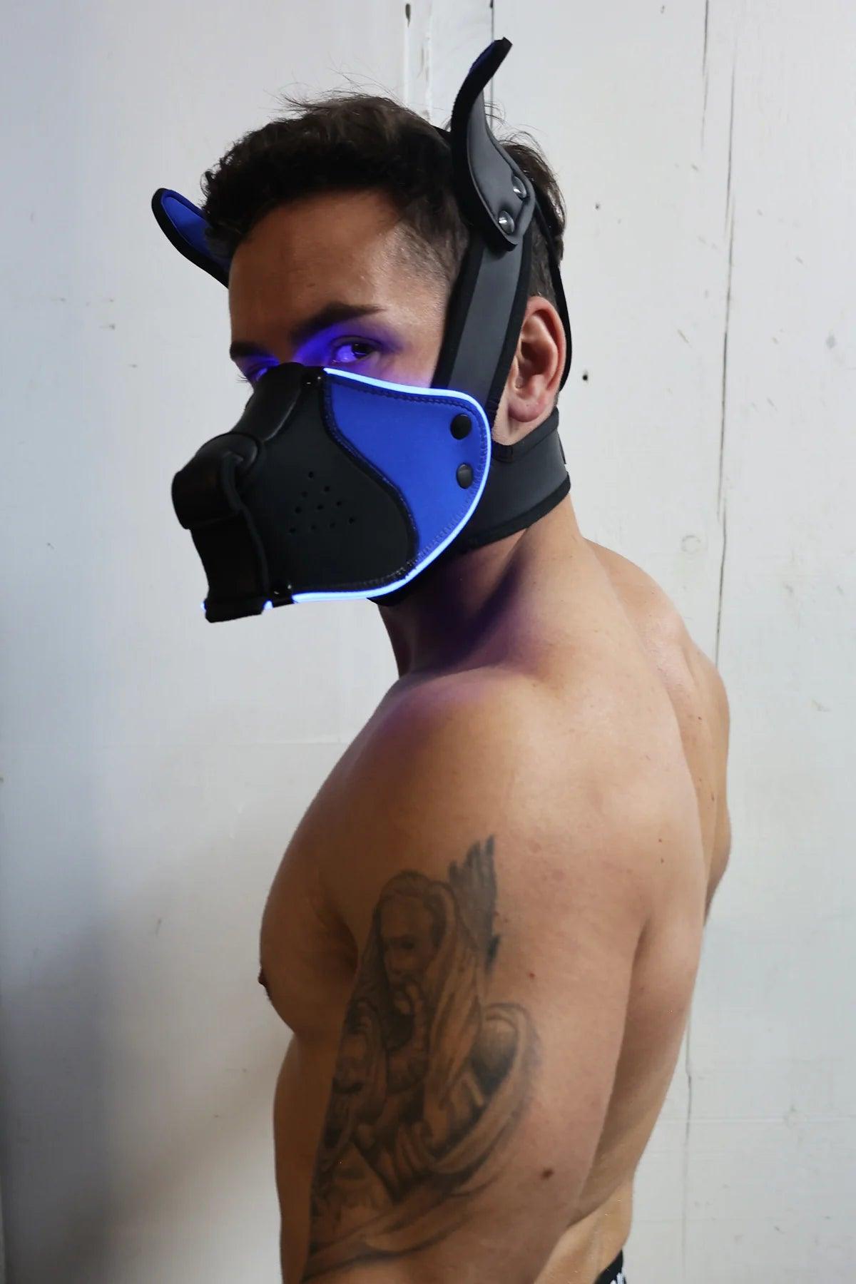 Poundtown Pup Mask 2.0 BLUE - Take A Peek