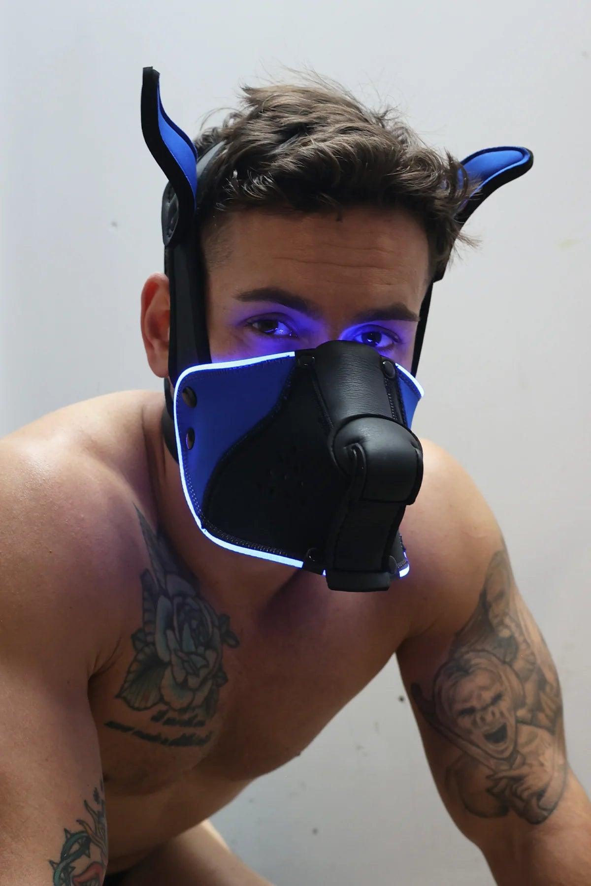 Poundtown Pup Mask 2.0 BLUE - Take A Peek