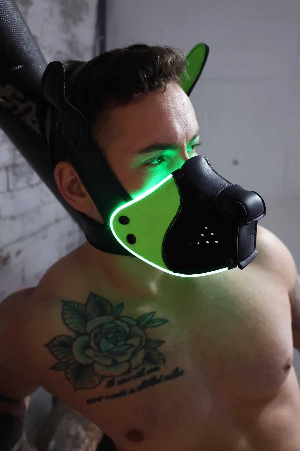 Poundtown Pup Mask 2.0 GREEN - Take A Peek