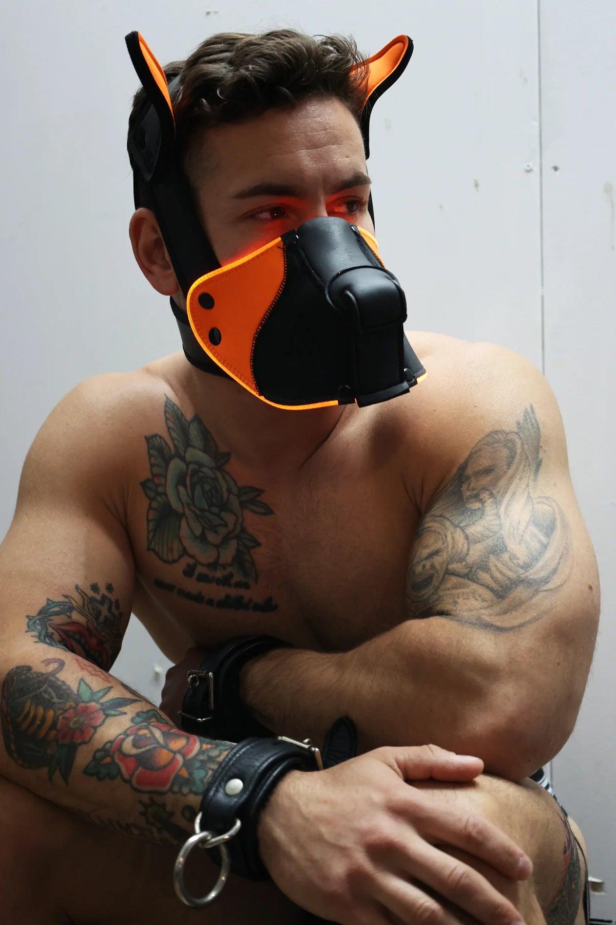 Poundtown Pup Mask 2.0 ORANGE - Take A Peek