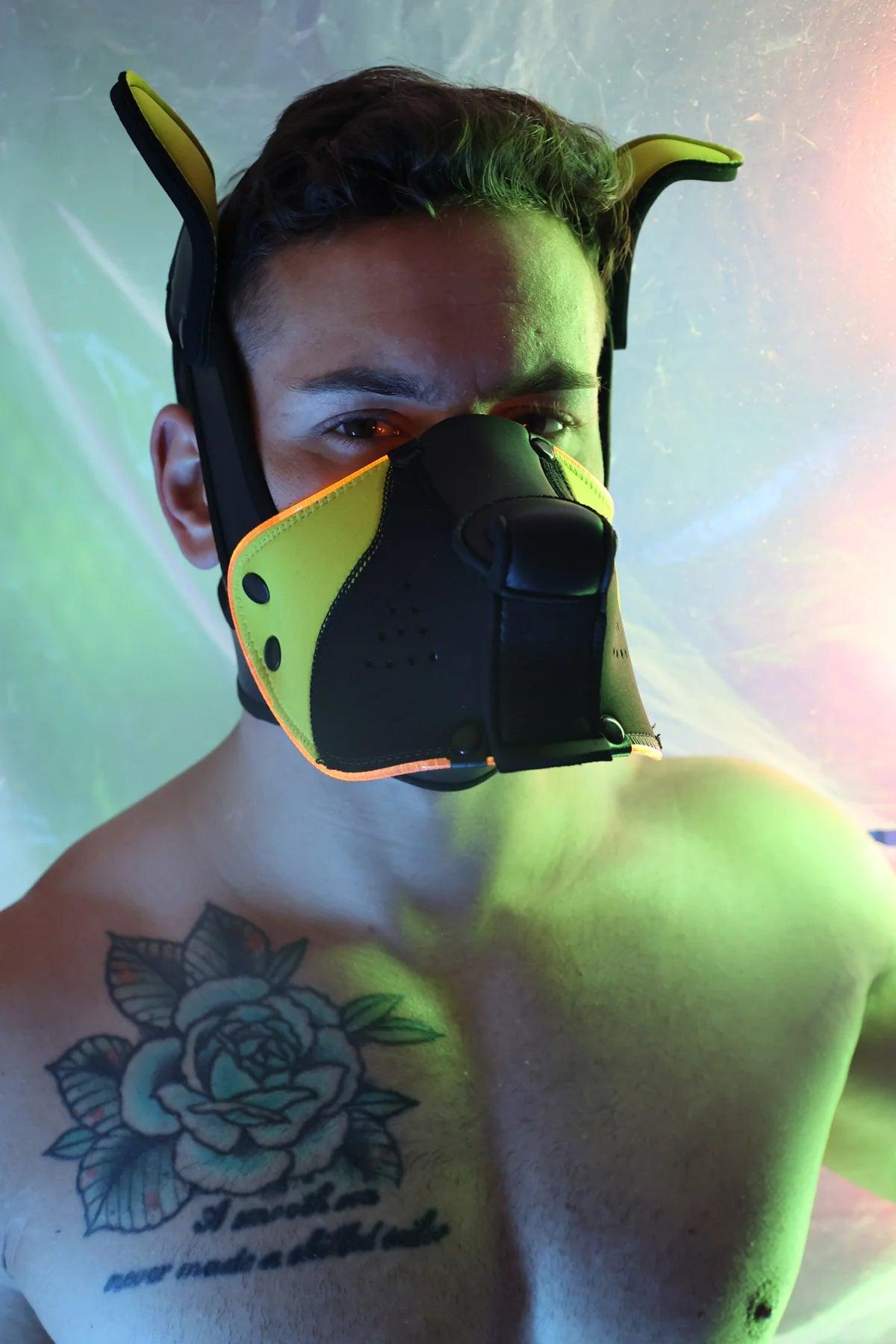 Poundtown Pup Mask 2.0 YELLOW - Take A Peek