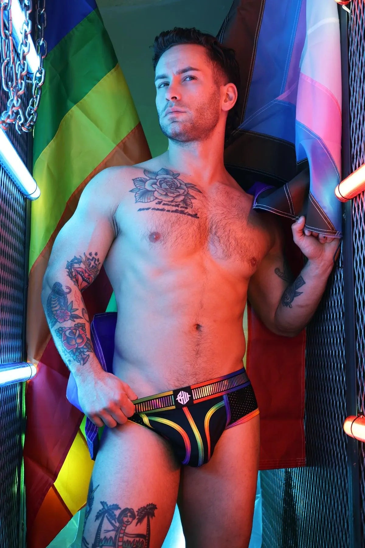 PRIDE REFLECTOR BRIEF - Take A Peek